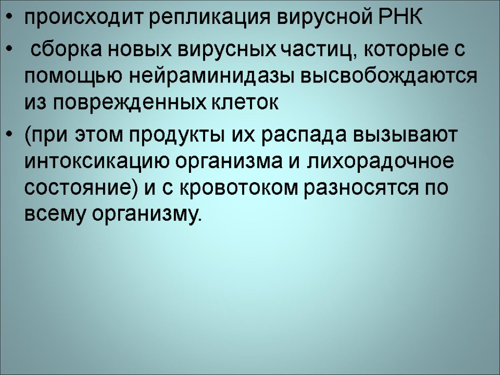 происходит репликация вирусной РНК сборка новых вирусных частиц, которые с помощью нейраминидазы высвобождаются из